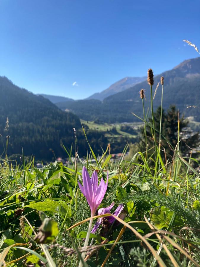 Fewo Gotschna Haus Bargis Klosters Kültér fotó